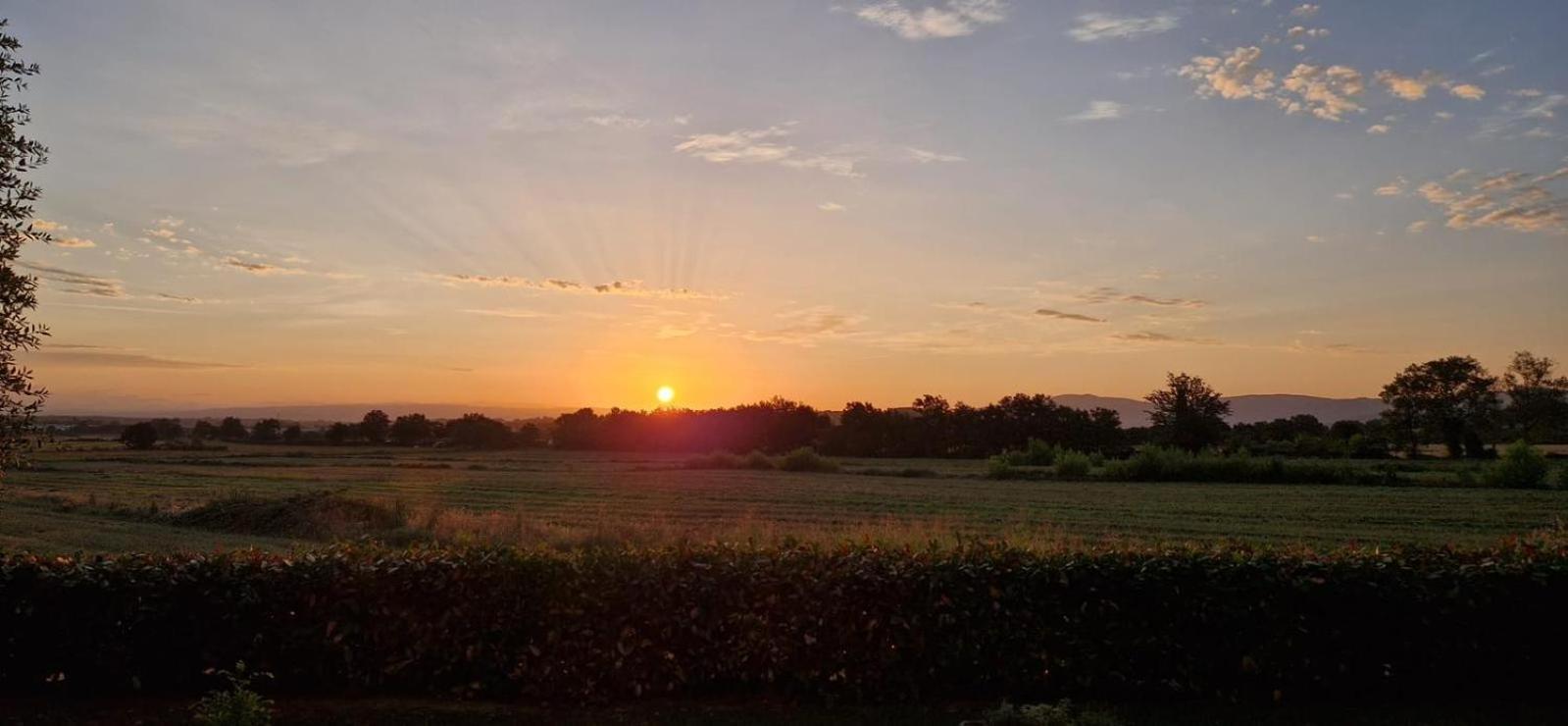 Agriturismo Il Canneto Casole dʼElsa Εξωτερικό φωτογραφία