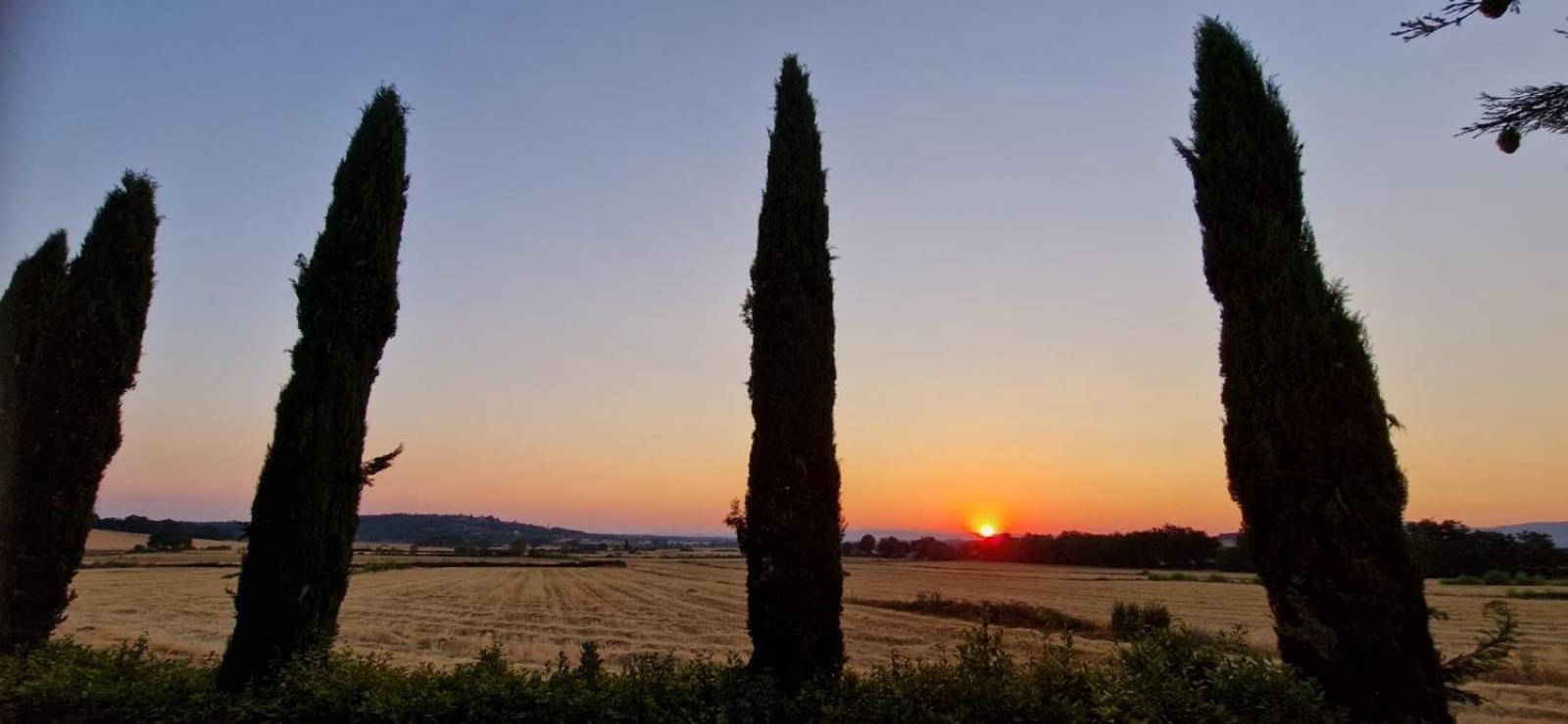 Agriturismo Il Canneto Casole dʼElsa Εξωτερικό φωτογραφία